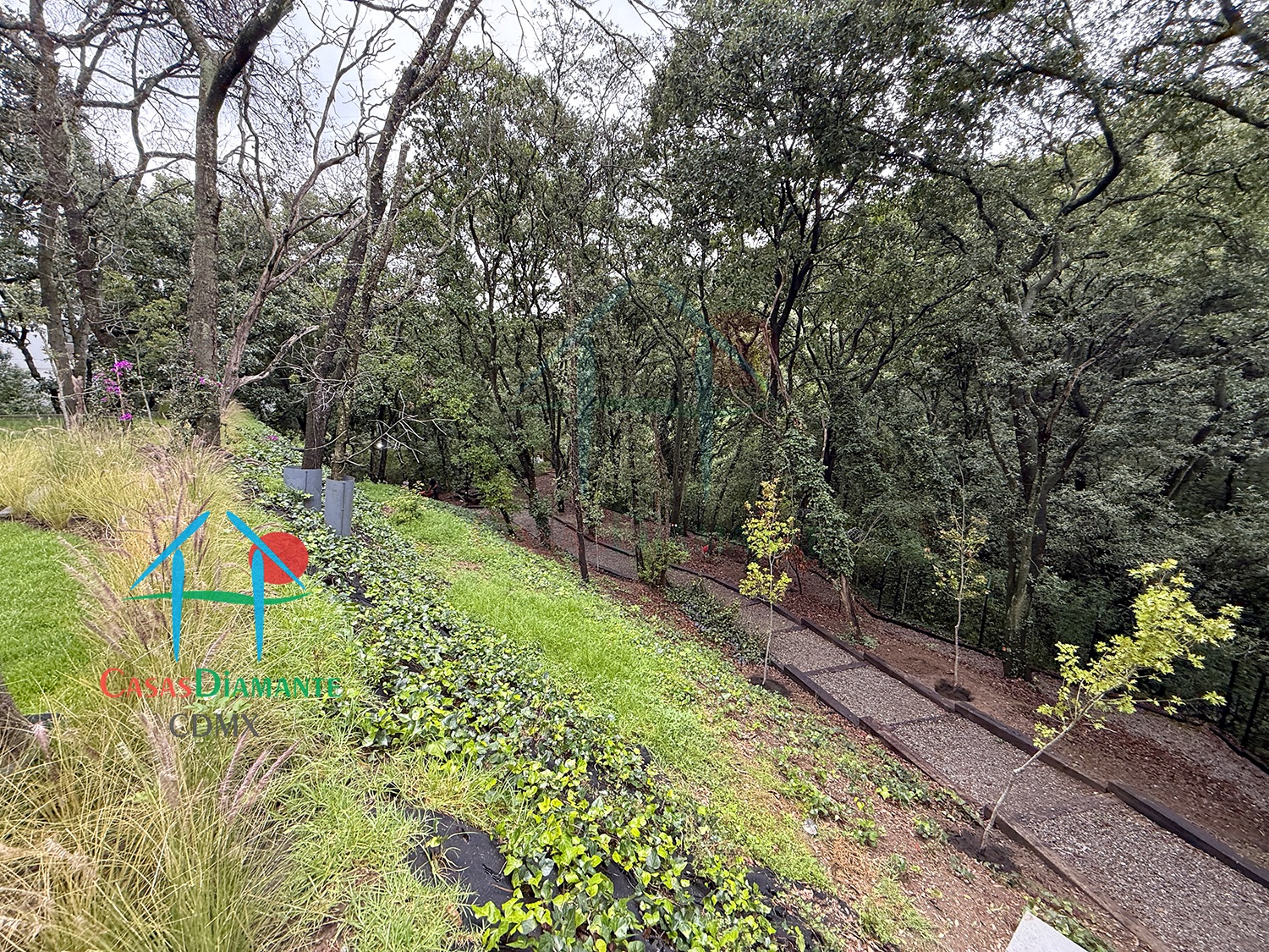 Acanto Ecos del Bosque - Jardines 1 Acanto Ecos del Bosque - Jardines 1